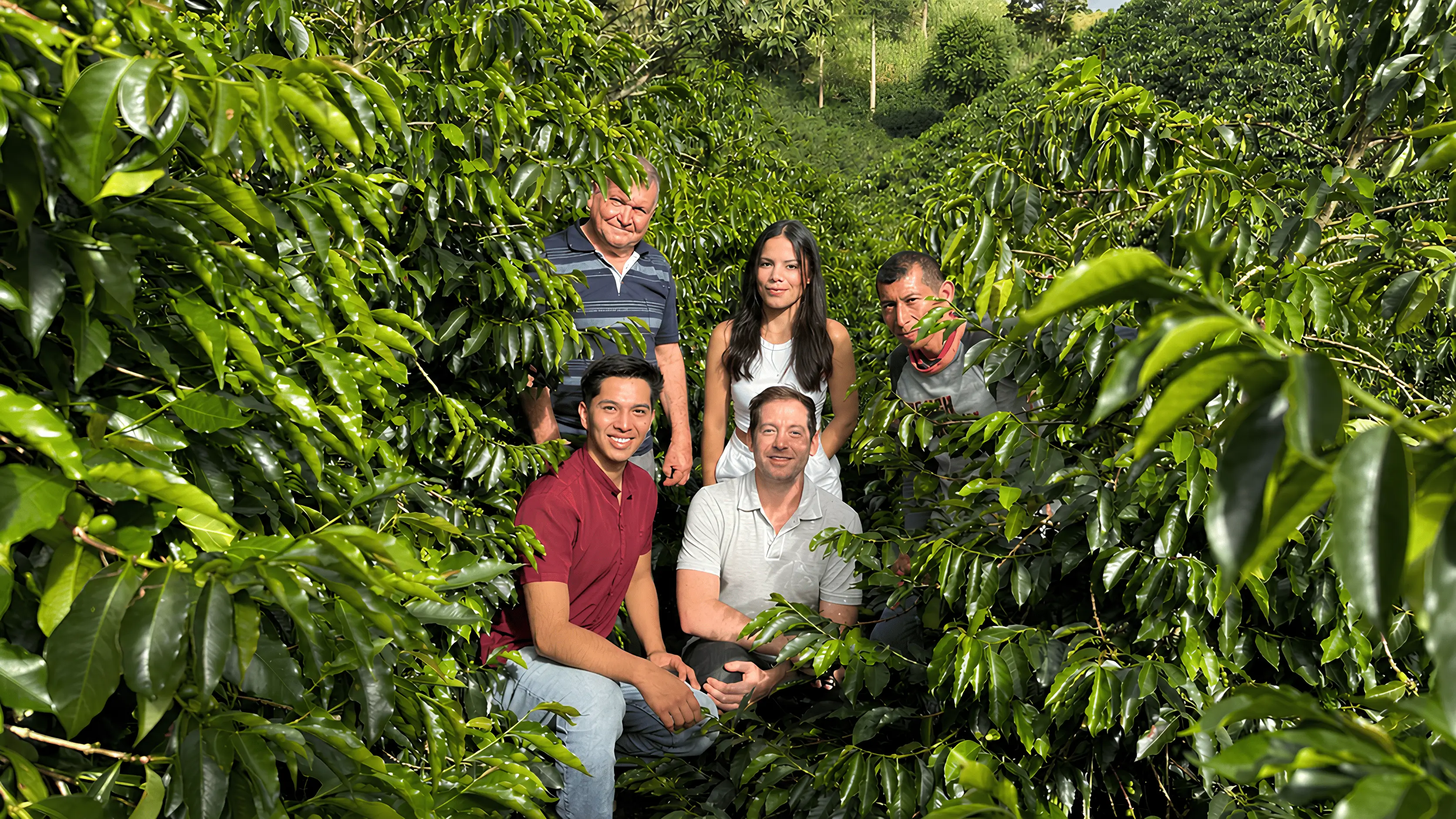 People evaluating and sharing information about a coffee selection